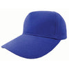 GORRA HEAVY BRUSHED 5-PANEL (FPBGC)