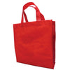 BOLSA NON WOVEN (AN-2009-14)