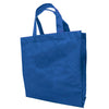 BOLSA NON WOVEN (AN-2009-14)