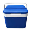 COOLER 10L (YX002)